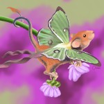 Meraki_Mouse's Avatar