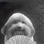 Penallya Penallya's Avatar