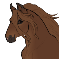 ID-0117: Huakiwi