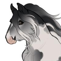 Thumbnail for ID-0134: Minnow