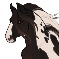 Thumbnail for ID-0217: Magpie