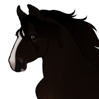 Thumbnail for ID-0431: Morcela