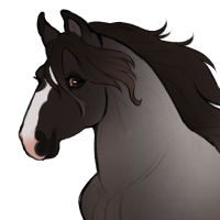Thumbnail for ID-0602: Selkie