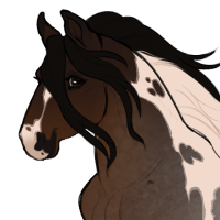 Thumbnail for ID-0683: Cirrostratus