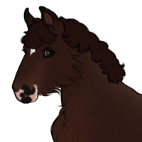 Thumbnail for ID-0767: Bossche Bol
