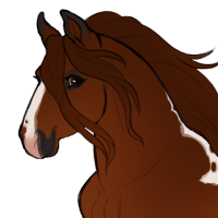 Thumbnail for ID-0797: KM Boops Boops with the Poofs Poofs