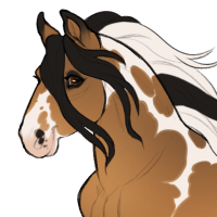 Thumbnail for ID-0824: KM Spirit of the West