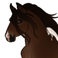 Thumbnail for ID-0842: Poncho