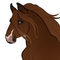 Thumbnail for ID-0848: Bica Cheia