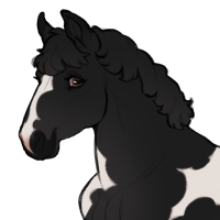 Thumbnail for ID-0877: Hematite