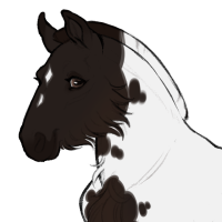 Thumbnail for ID-0892: Barnevelder