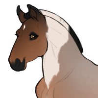 Thumbnail for ID-0899: Silvia