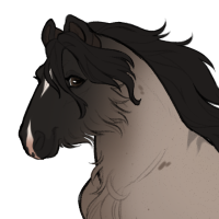 Thumbnail for ID-0937: Ferret