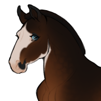 Thumbnail for ID-0997: Lacere