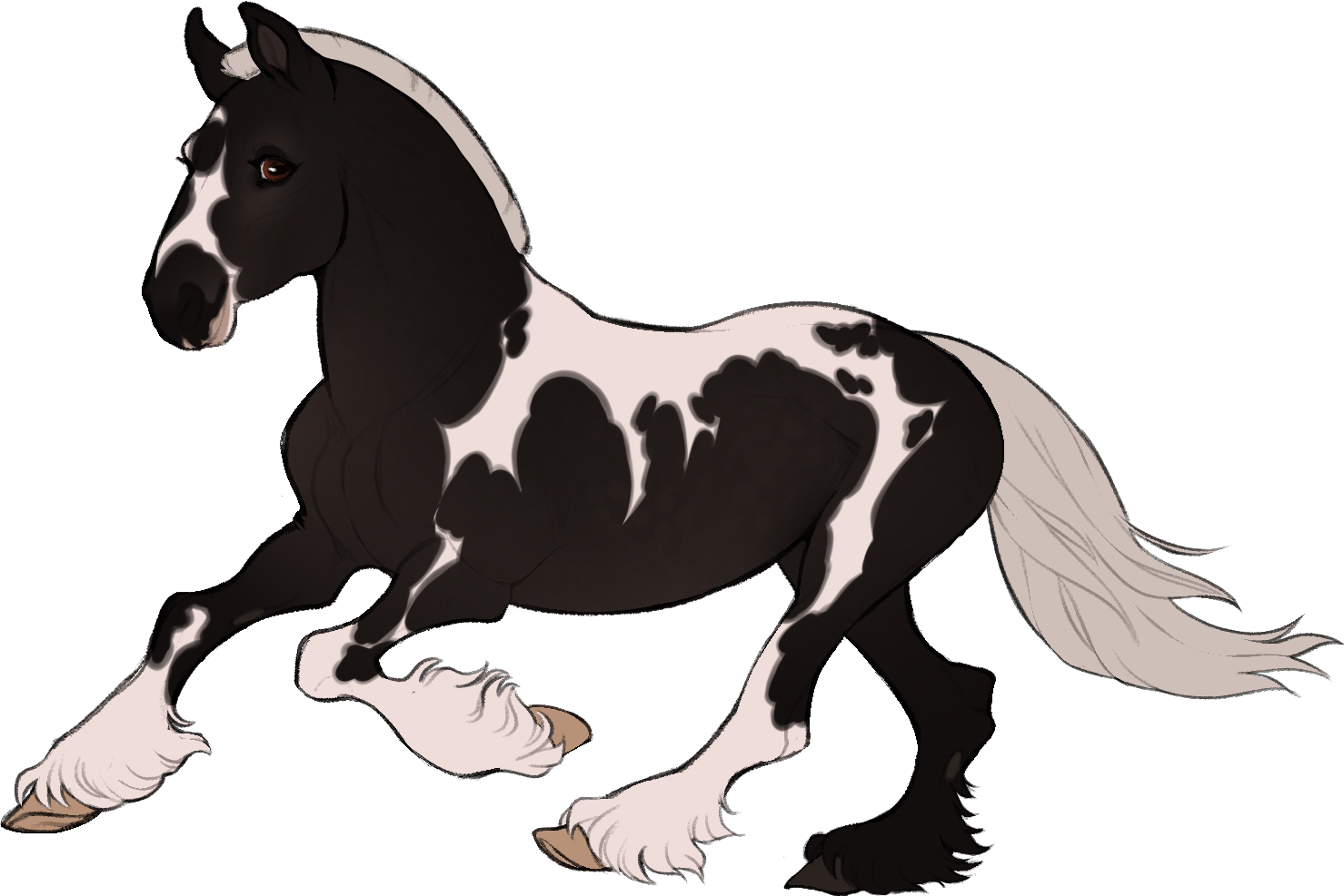 ID-1063: Stella