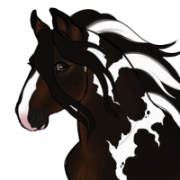 Thumbnail image for ID-1088: Meridian