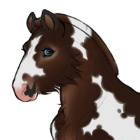 Thumbnail for ID-1117: Kakai
