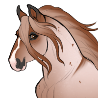 ID-1123: ༶❤︎Cruel Summer❤︎༶