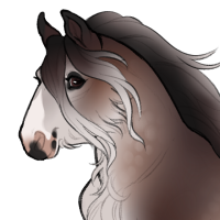 Thumbnail for ID-1185: Mohair