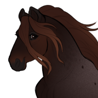 Thumbnail for ID-1187: Flannel