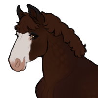 Thumbnail for ID-1200: Euro