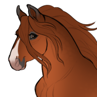 Thumbnail for ID-1217: Flax