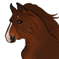 Thumbnail for ID-1225: Grizzly Bear