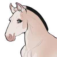 Thumbnail for ID-1248: Norris