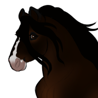 Thumbnail for ID-1251: Kimi