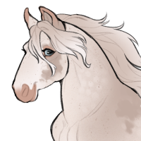 Thumbnail for ID-1325: Butter Biscuit