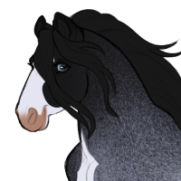 Thumbnail for ID-1338: Colour My World