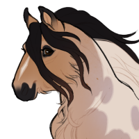 Thumbnail for ID-1347: I like the color blue