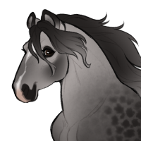 Thumbnail for ID-1355: Now You Don't