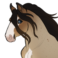 Thumbnail for ID-1370: AL Idealstic Beaches