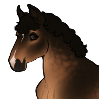 Thumbnail for ID-1375: Superstar In Me