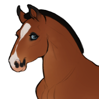 ID-1395: Polar Express