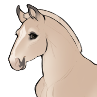 Thumbnail for ID-1401: Grapefruit