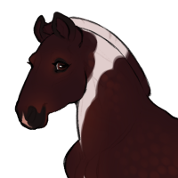 Thumbnail for ID-1405: Spider Lily