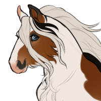 Thumbnail for ID-1431: KBU The Shadows Sing Your Name