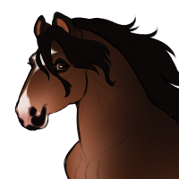 Thumbnail for ID-1488: Plover