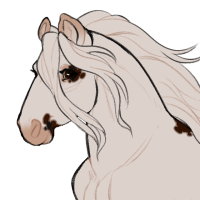 Thumbnail image for ID-1496: Black Bear Jam