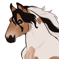 Thumbnail for ID-1542: Devon Rex