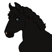 Thumbnail for ID-1553: Star Anise