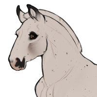 Thumbnail for ID-1555: Poppy Seed