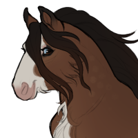 Thumbnail for ID-1558: Bay Leaf