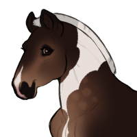 Thumbnail for ID-1560: Cumin