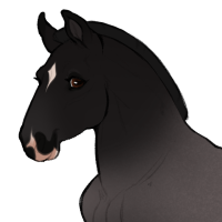 Thumbnail for ID-1625: Jay