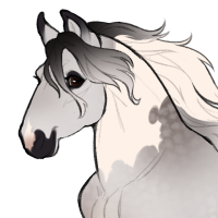 Thumbnail for ID-1632: African Grey Parrot