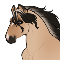 Thumbnail for ID-1677: Wildfire