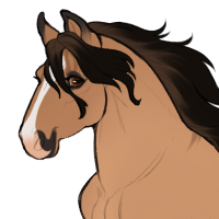 Thumbnail for ID-1703: Mosasaurus